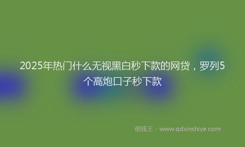 2025年热门什么无视黑白秒下款的网贷，罗列5个高炮口子秒下款