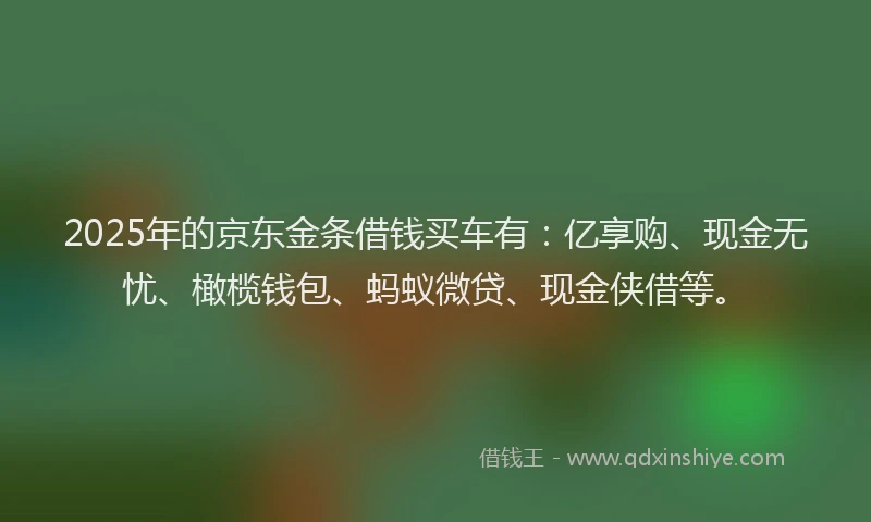 2025年的京东金条借钱买车有：亿享购、现金无忧、橄榄钱包、蚂蚁微贷、现金侠借等。