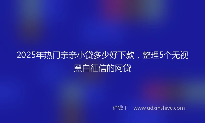 2025年热门亲亲小贷多少好下款，整理5个无视黑白征信的网贷