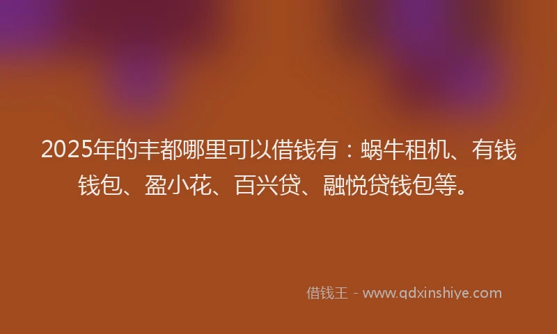 2025年的丰都哪里可以借钱有：蜗牛租机、有钱钱包、盈小花、百兴贷、融悦贷钱包等。