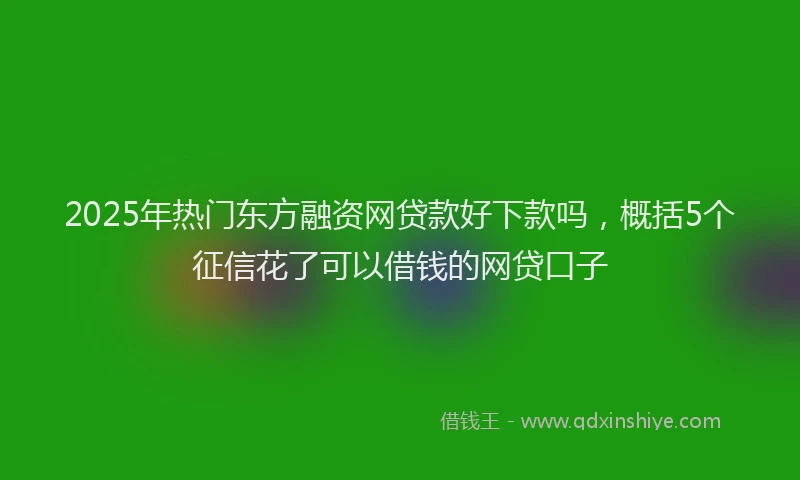 2025年热门东方融资网贷款好下款吗，概括5个征信花了可以借钱的网贷口子