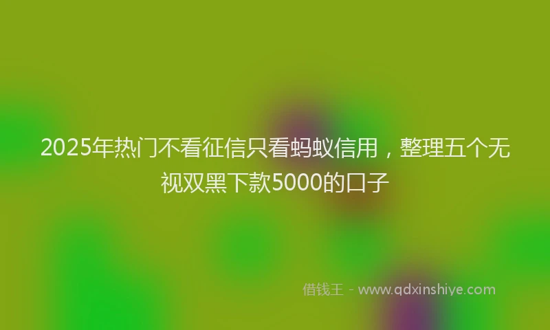 2025年热门不看征信只看蚂蚁信用，整理五个无视双黑下款5000的口子