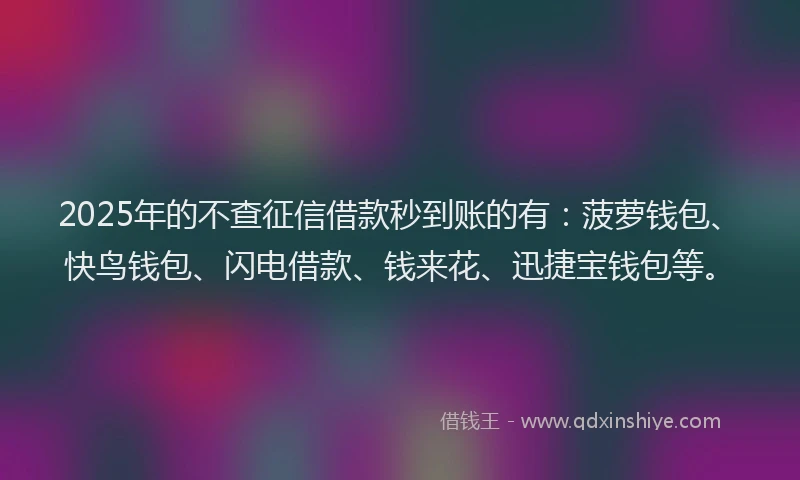 2025年的不查征信借款秒到账的有：菠萝钱包、快鸟钱包、闪电借款、钱来花、迅捷宝钱包等。