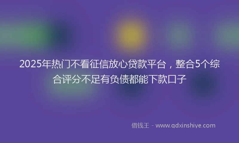 2025年热门不看征信放心贷款平台，整合5个综合评分不足有负债都能下款口子