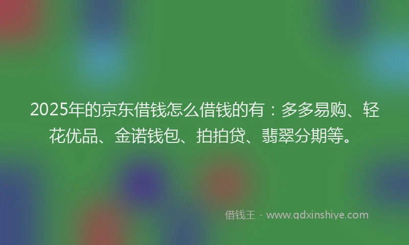 2025年的京东借钱怎么借钱的有：多多易购、轻花优品、金诺钱包、拍拍贷、翡翠分期等。