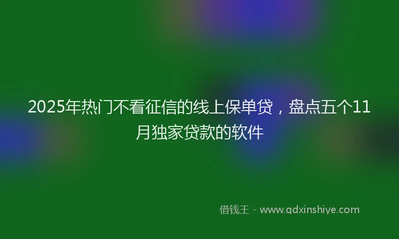 2025年热门不看征信的线上保单贷，盘点五个11月独家贷款的软件
