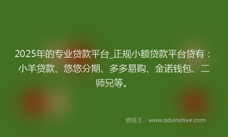 2025年的专业贷款平台_正规小额贷款平台贷有：小羊贷款、悠悠分期、多多易购、金诺钱包、二师兄等。