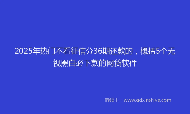2025年热门不看征信分36期还款的，概括5个无视黑白必下款的网贷软件