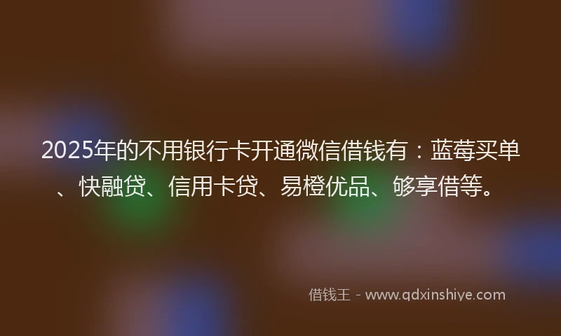 2025年的不用银行卡开通微信借钱有：蓝莓买单、快融贷、信用卡贷、易橙优品、够享借等。