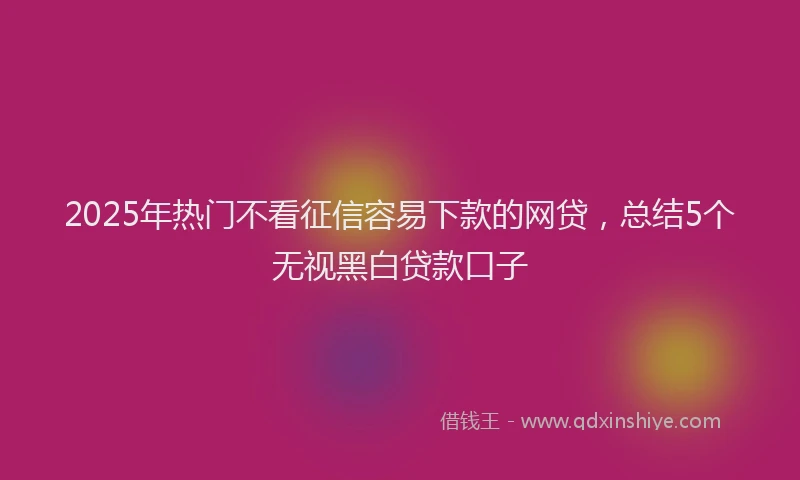 2025年热门不看征信容易下款的网贷，总结5个无视黑白贷款口子