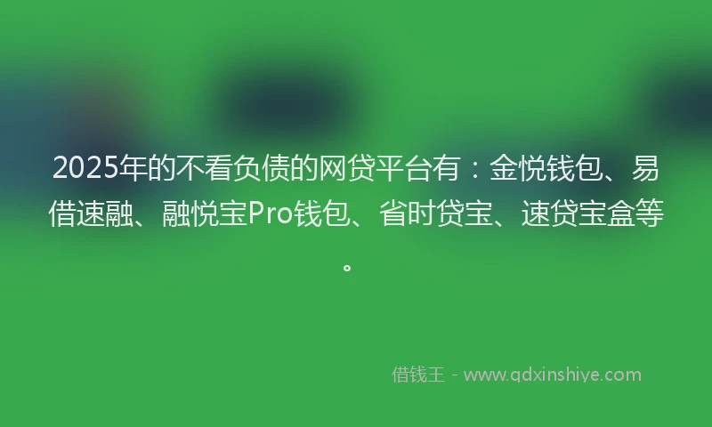 2025年的不看负债的网贷平台有：金悦钱包、易借速融、融悦宝Pro钱包、省时贷宝、速贷宝盒等。