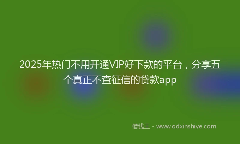 2025年热门不用开通VIP好下款的平台，分享五个真正不查征信的贷款app