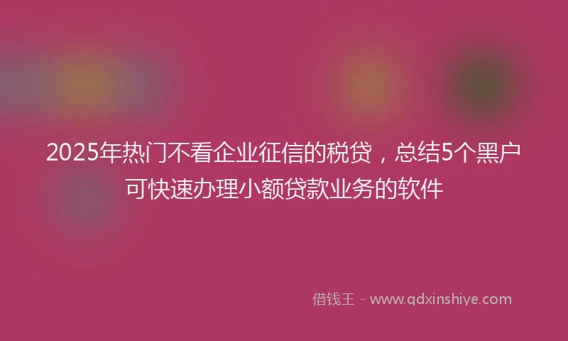 2025年热门不看企业征信的税贷，总结5个黑户可快速办理小额贷款业务的软件