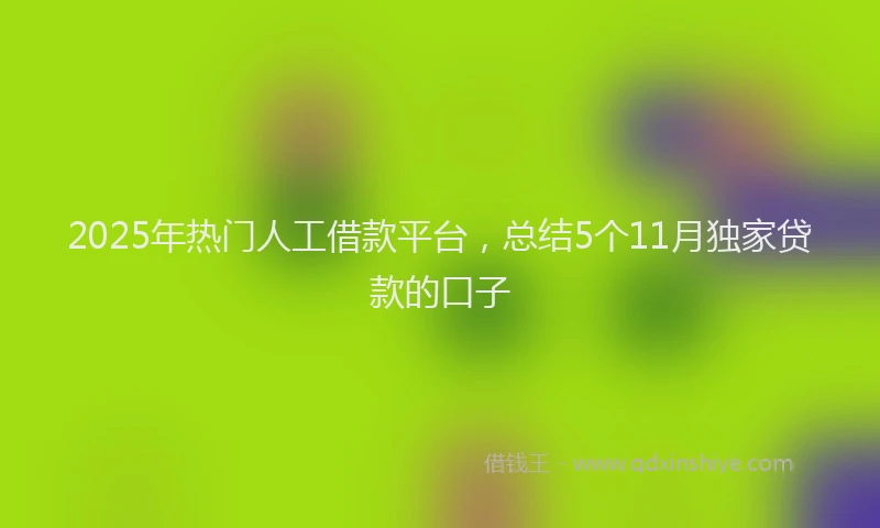2025年热门人工借款平台，总结5个11月独家贷款的口子
