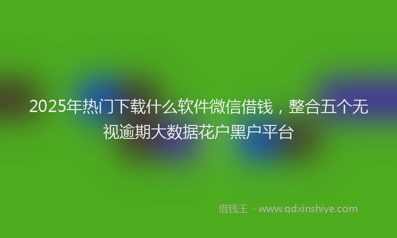 2025年热门下载什么软件微信借钱，整合五个无视逾期大数据花户黑户平台