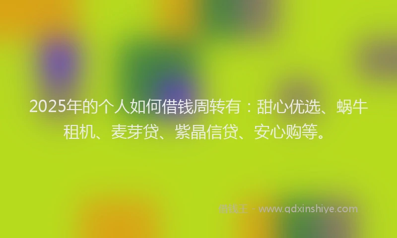 2025年的个人如何借钱周转有：甜心优选、蜗牛租机、麦芽贷、紫晶信贷、安心购等。