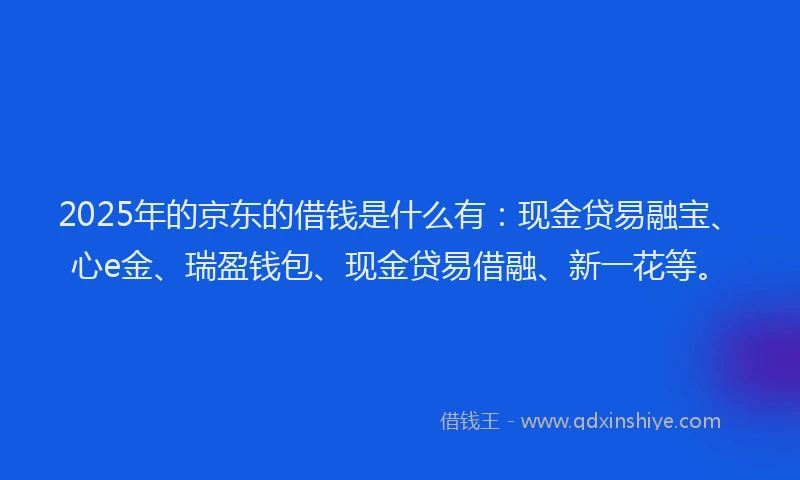 2025年的京东的借钱是什么有：现金贷易融宝、心e金、瑞盈钱包、现金贷易借融、新一花等。