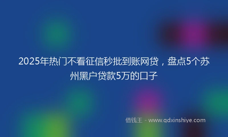 2025年热门不看征信秒批到账网贷，盘点5个苏州黑户贷款5万的口子