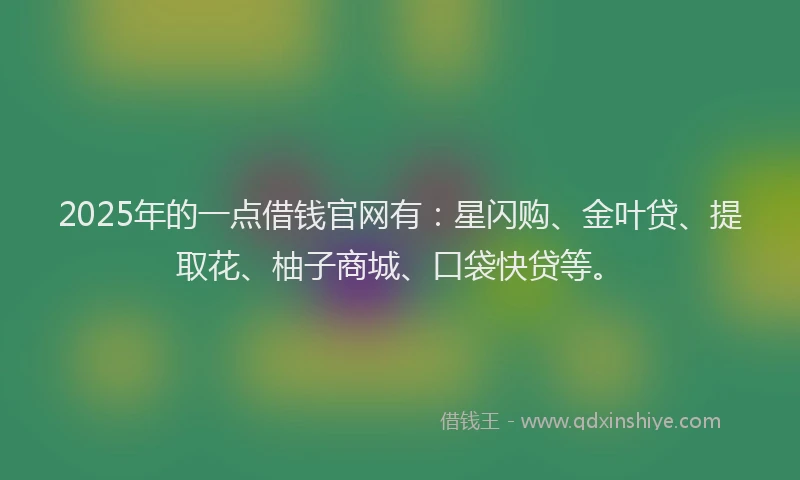 2025年的一点借钱官网有：星闪购、金叶贷、提取花、柚子商城、口袋快贷等。
