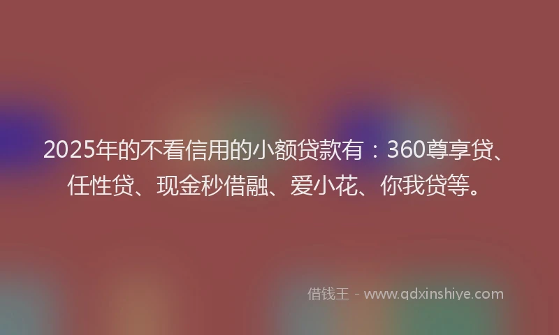 2025年的不看信用的小额贷款有：360尊享贷、任性贷、现金秒借融、爱小花、你我贷等。