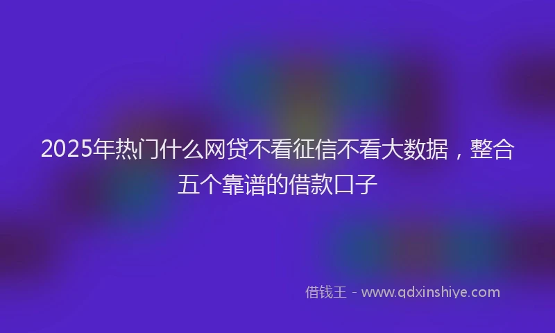 2025年热门什么网贷不看征信不看大数据，整合五个靠谱的借款口子