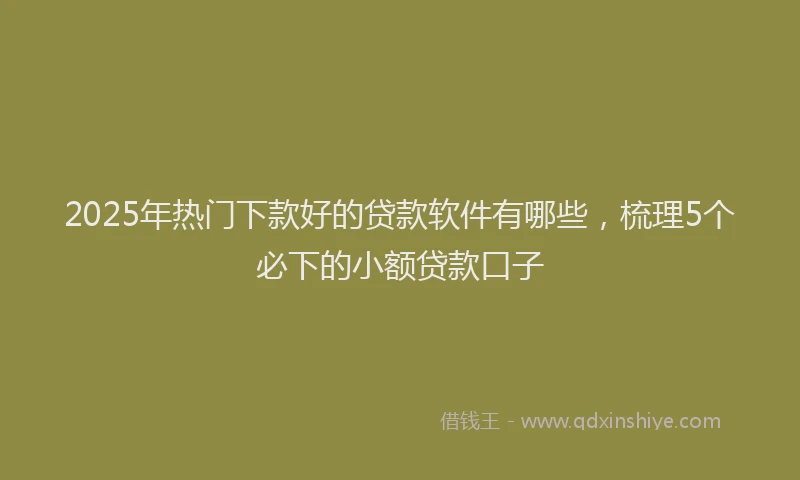2025年热门下款好的贷款软件有哪些，梳理5个必下的小额贷款口子