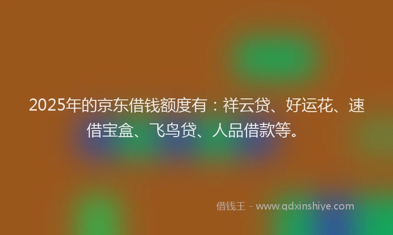 2025年的京东借钱额度有：祥云贷、好运花、速借宝盒、飞鸟贷、人品借款等。