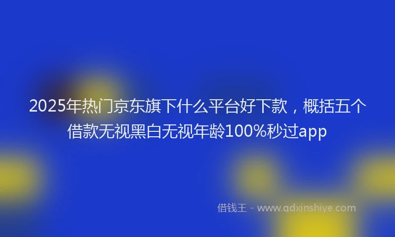 2025年热门京东旗下什么平台好下款，概括五个借款无视黑白无视年龄100%秒过app