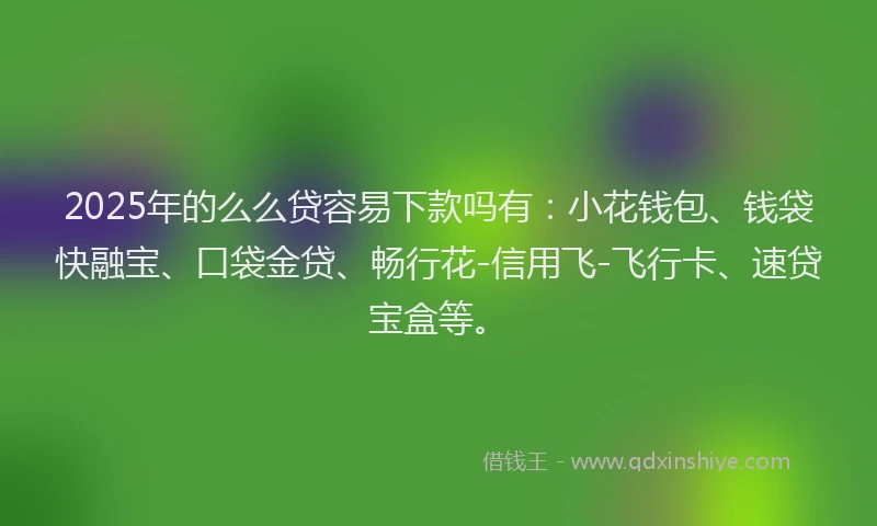 2025年的么么贷容易下款吗有：小花钱包、钱袋快融宝、口袋金贷、畅行花-信用飞-飞行卡、速贷宝盒等。