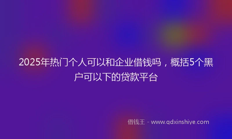 2025年热门个人可以和企业借钱吗，概括5个黑户可以下的贷款平台