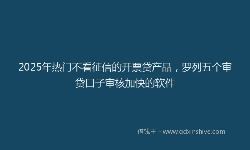 2025年热门不看征信的开票贷产品，罗列五个审贷口子审核加快的软件