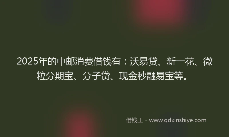 2025年的中邮消费借钱有：沃易贷、新一花、微粒分期宝、分子贷、现金秒融易宝等。