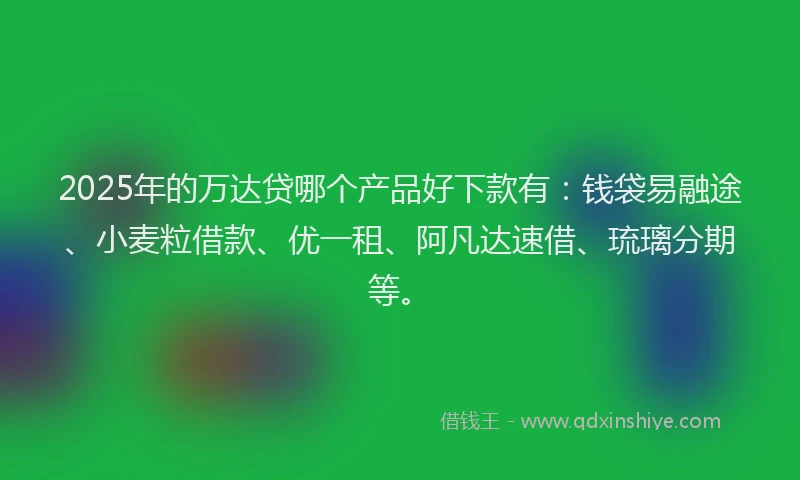 2025年的万达贷哪个产品好下款有：钱袋易融途、小麦粒借款、优一租、阿凡达速借、琉璃分期等。