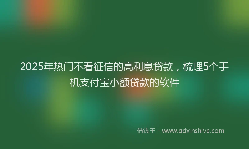 2025年热门不看征信的高利息贷款，梳理5个手机支付宝小额贷款的软件
