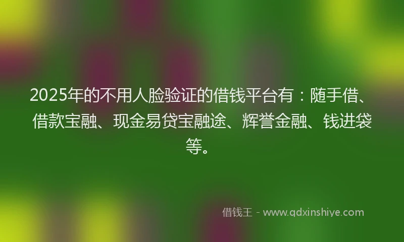 2025年的不用人脸验证的借钱平台有：随手借、借款宝融、现金易贷宝融途、辉誉金融、钱进袋等。