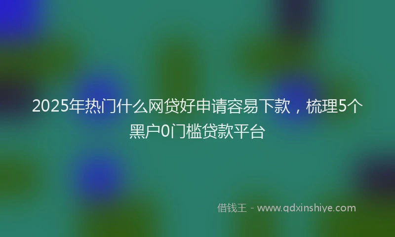 2025年热门什么网贷好申请容易下款，梳理5个黑户0门槛贷款平台