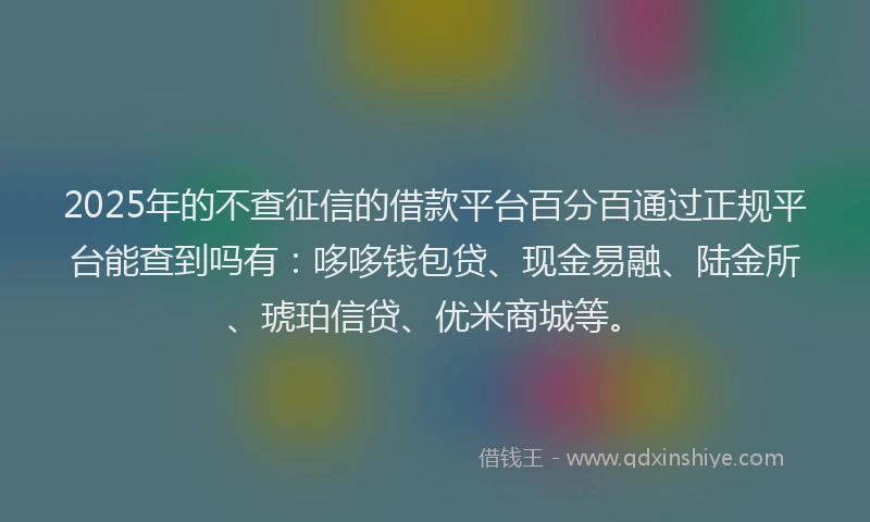 2025年的不查征信的借款平台百分百通过正规平台能查到吗有：哆哆钱包贷、现金易融、陆金所、琥珀信贷、优米商城等。