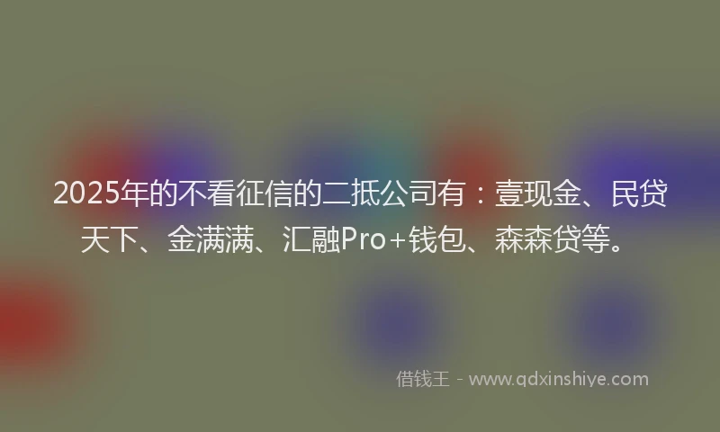 2025年的不看征信的二抵公司有：壹现金、民贷天下、金满满、汇融Pro+钱包、森森贷等。