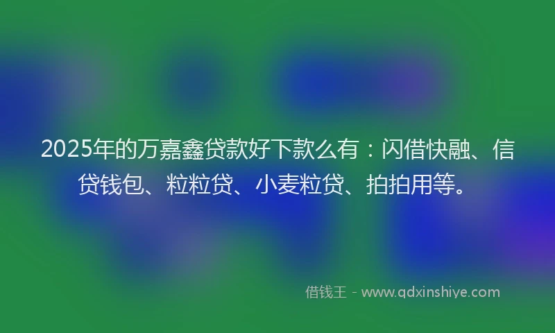 2025年的万嘉鑫贷款好下款么有：闪借快融、信贷钱包、粒粒贷、小麦粒贷、拍拍用等。