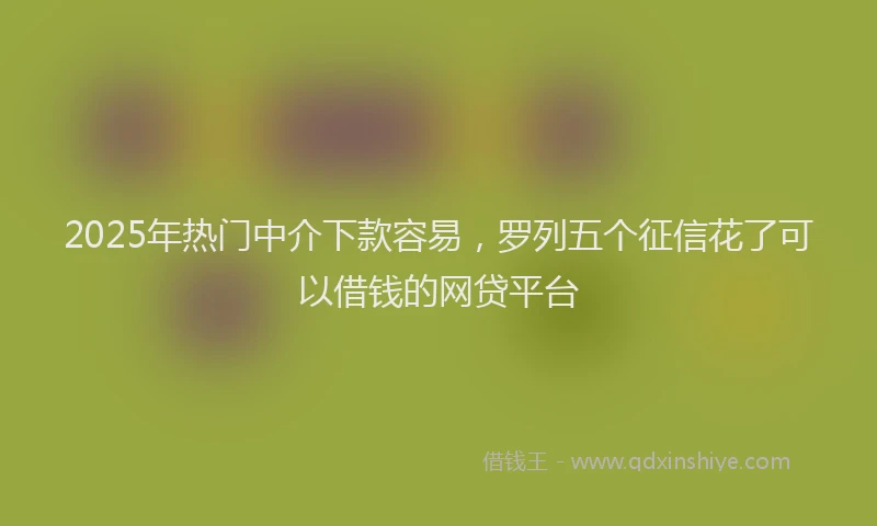 2025年热门中介下款容易，罗列五个征信花了可以借钱的网贷平台