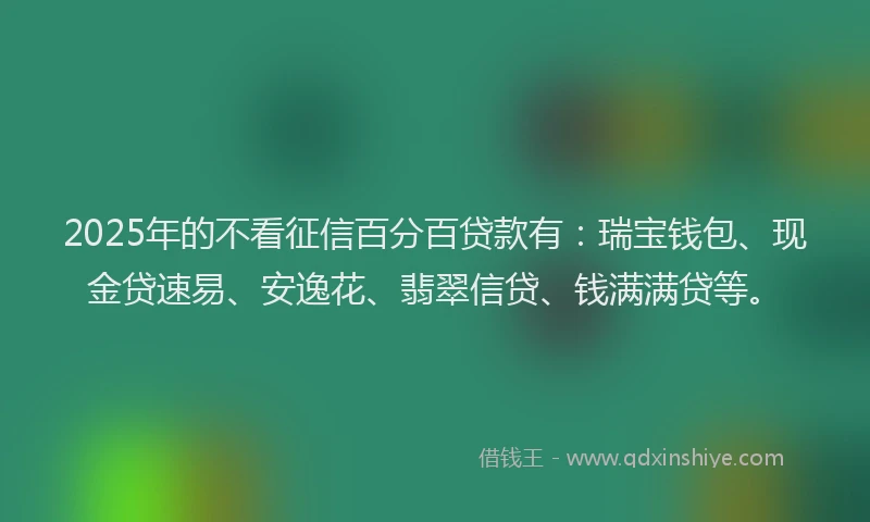2025年的不看征信百分百贷款有：瑞宝钱包、现金贷速易、安逸花、翡翠信贷、钱满满贷等。