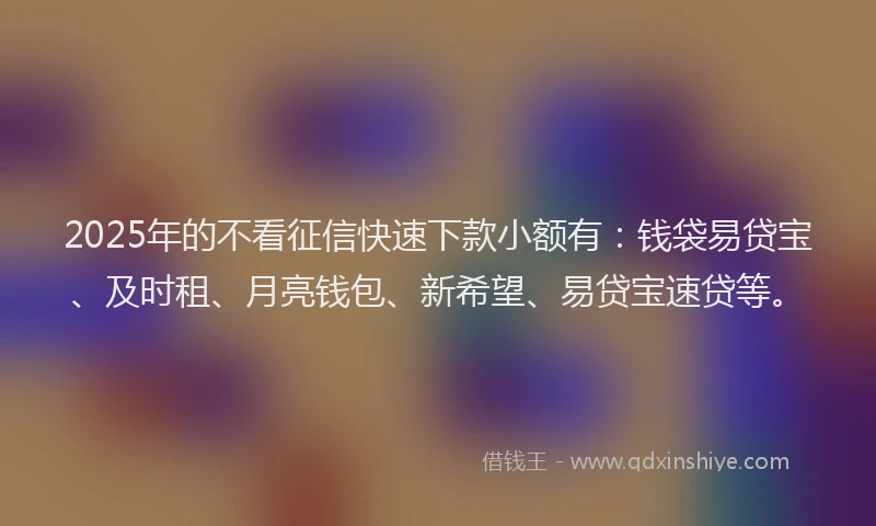 2025年的不看征信快速下款小额有：钱袋易贷宝、及时租、月亮钱包、新希望、易贷宝速贷等。
