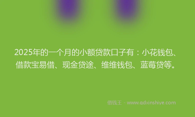 2025年的一个月的小额贷款口子有：小花钱包、借款宝易借、现金贷途、维维钱包、蓝莓贷等。