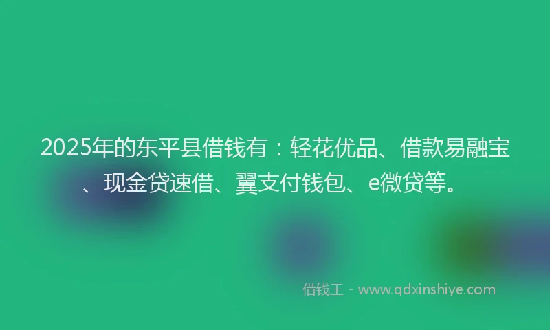 2025年的东平县借钱有：轻花优品、借款易融宝、现金贷速借、翼支付钱包、e微贷等。