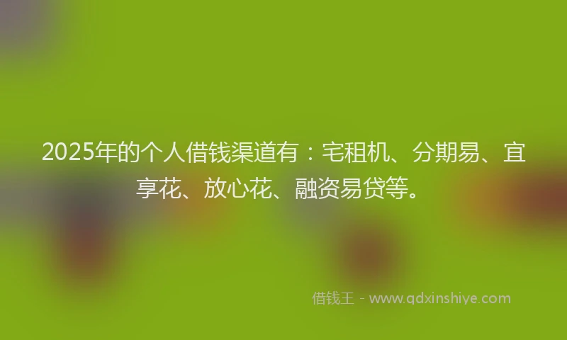 2025年的个人借钱渠道有：宅租机、分期易、宜享花、放心花、融资易贷等。