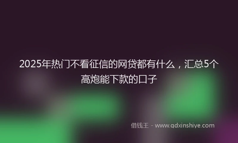 2025年热门不看征信的网贷都有什么，汇总5个高炮能下款的口子