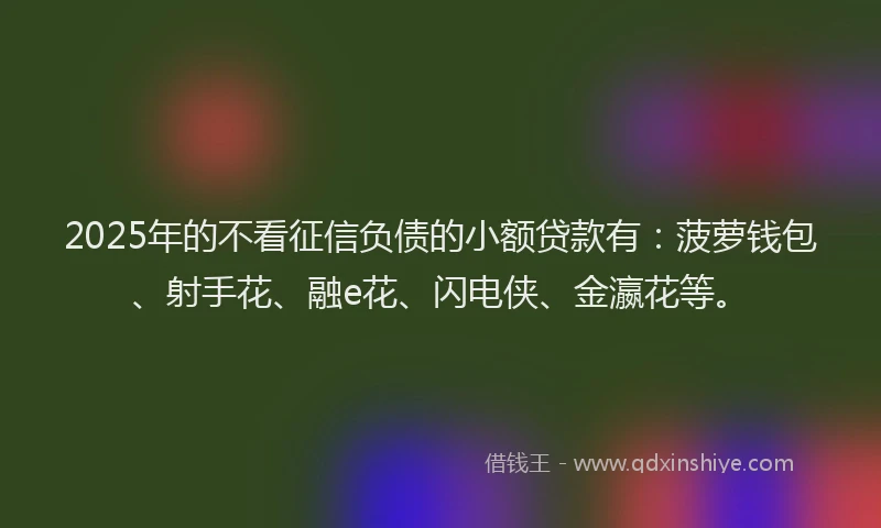 2025年的不看征信负债的小额贷款有：菠萝钱包、射手花、融e花、闪电侠、金瀛花等。
