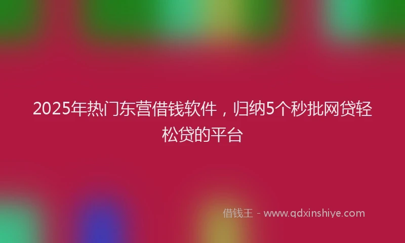 2025年热门东营借钱软件，归纳5个秒批网贷轻松贷的平台