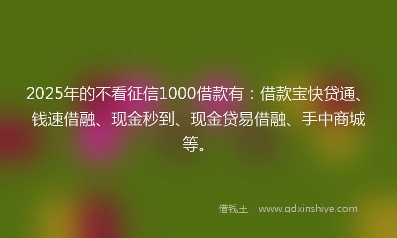 2025年的不看征信1000借款有：借款宝快贷通、钱速借融、现金秒到、现金贷易借融、手中商城等。