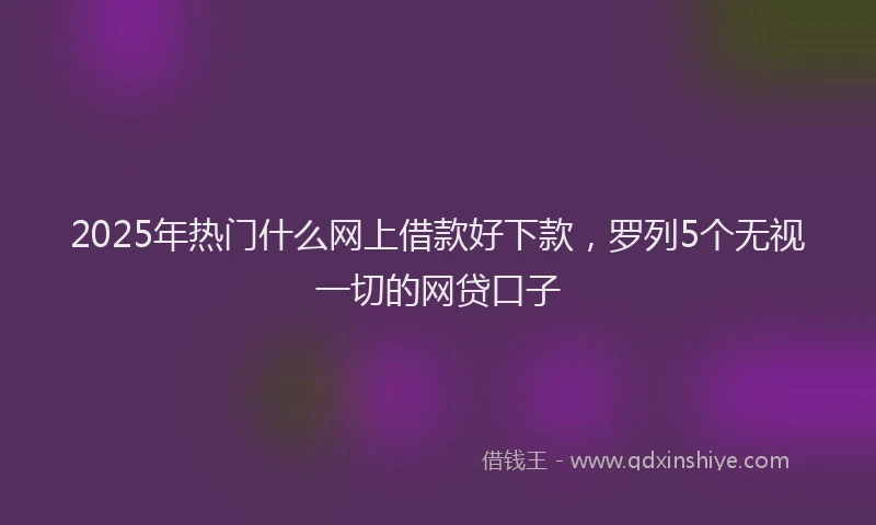 2025年热门什么网上借款好下款，罗列5个无视一切的网贷口子